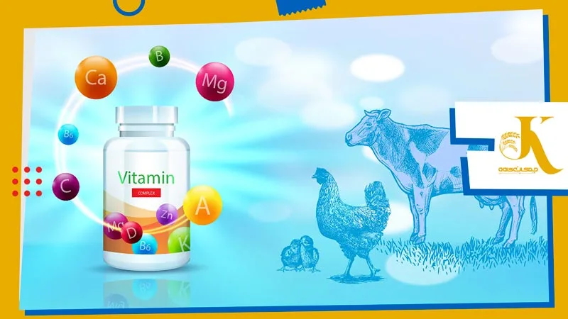 Vitamin Farm Animal