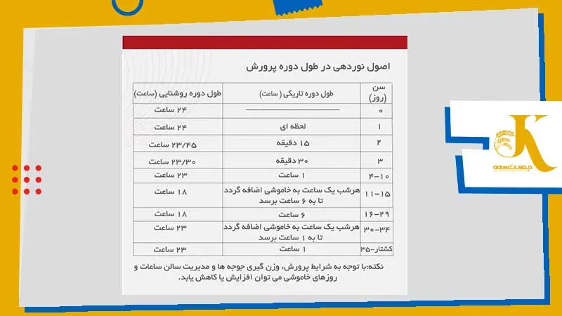 اصول نوردهی دوره پرورش مرغ گوشتی