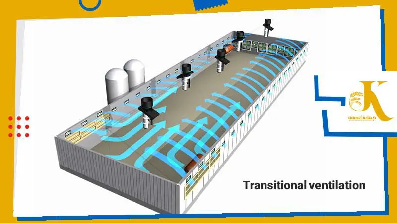تهویه انتقالی مرغداری