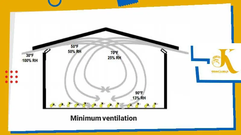 تهویه حداقلی مرغداری