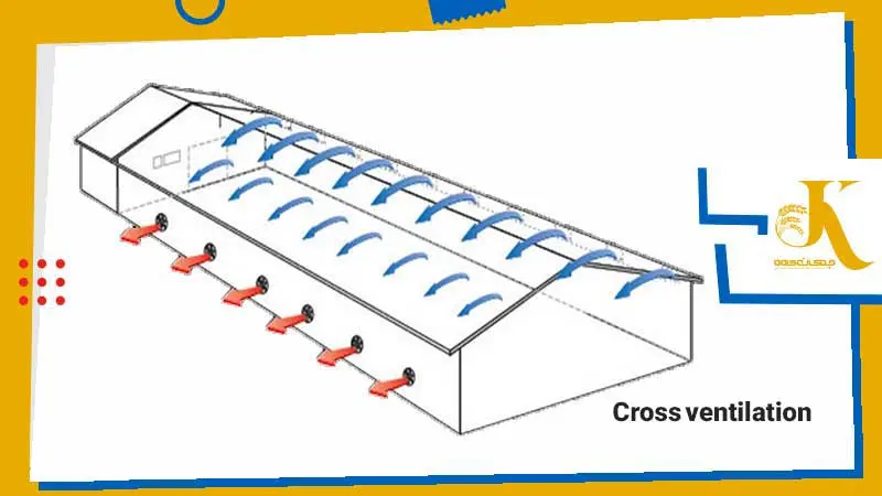 تهویه عرضی مرغداری