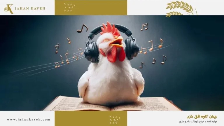 تاثیر موسیقی بر مرغ و طیور- Effect of Music on Poultry