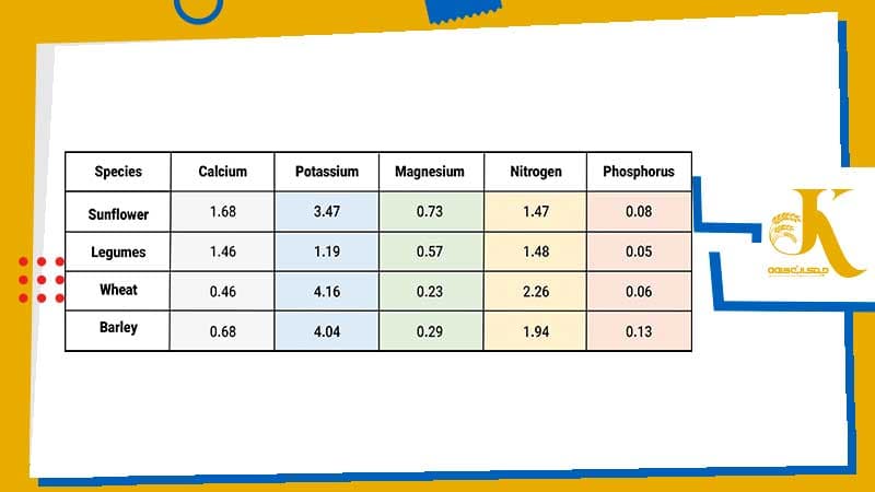 Vegetable Protein Ingredients for Animal Feed